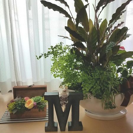 Villa M Guesthouse Καναζάουα Εξωτερικό φωτογραφία