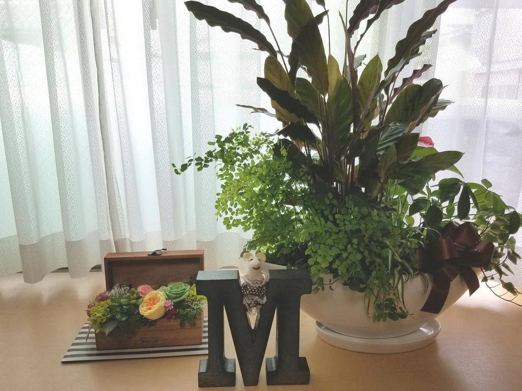 Villa M Guesthouse Καναζάουα Εξωτερικό φωτογραφία